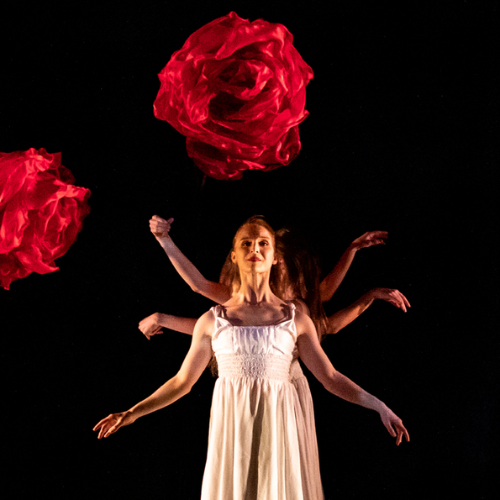 Performers on stage for MOMIX: ALICE with red rose props floating in the air