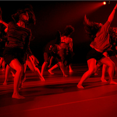 MFA Dance students in the University of Washington Dance department dancing in a dimly lit room