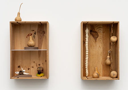 Artwork by Rob Rhee, which includes gourds positioned in two vertical boxes hung on a wall.