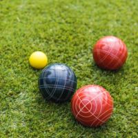 Bocce and Petanque balls sit on grass