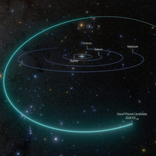 A view of the solar system showing the orbital pathway of dwarf planet candidate 2026 ED138, discovered in data from the Simonyi Survey telescope at the NSF–DOE Vera C. Rubin Observatory. Initial analysis indicates that it may be among the largest and brightest bodies scientists have discovered in this region of the solar system. Photo: NSF–DOE Vera C. Rubin Observatory/NOIRLab/SLAC/AURA/R. Proctor. Image Processing: M. Zamani (NSF NOIRLab).