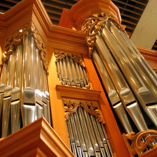 Organ instrument