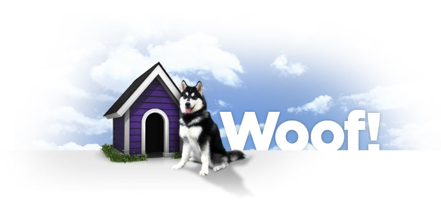 Dubs the Husky sitting in front of a dog house.