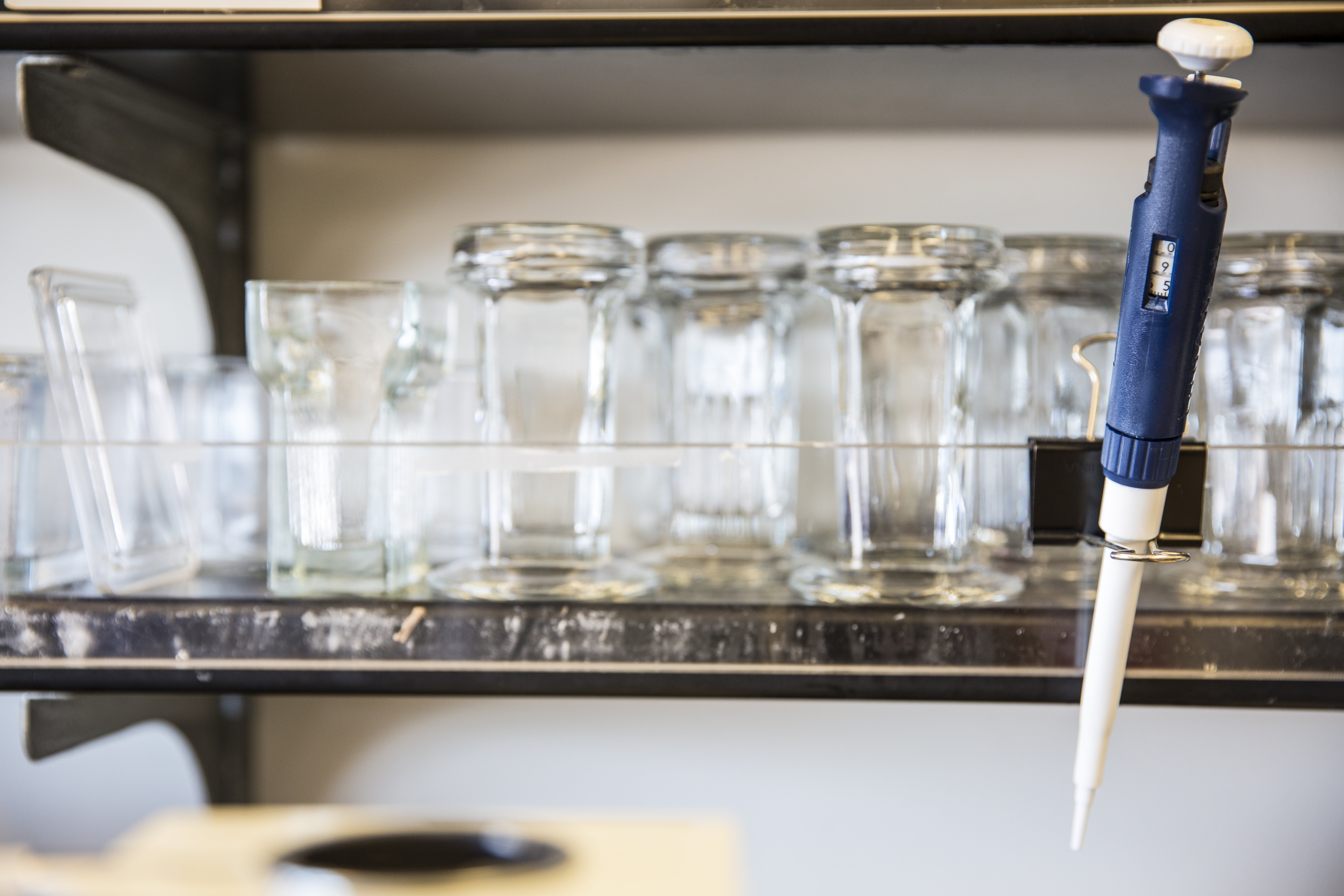 Q&A: What to know about the UW biology degree that launched Nobel Prize laureate Mary Brunkow