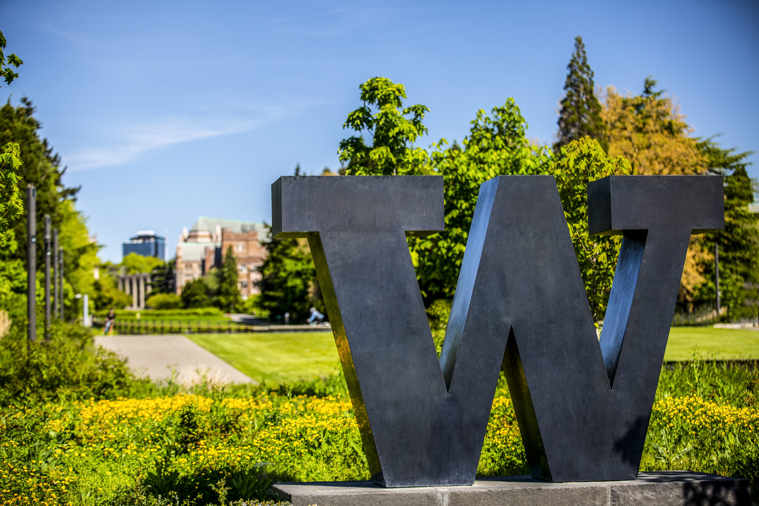 Seven UW professors elected to Washington State Academy of Sciences