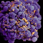 Novel HIV combination therapies could prevent viral escape and rebound