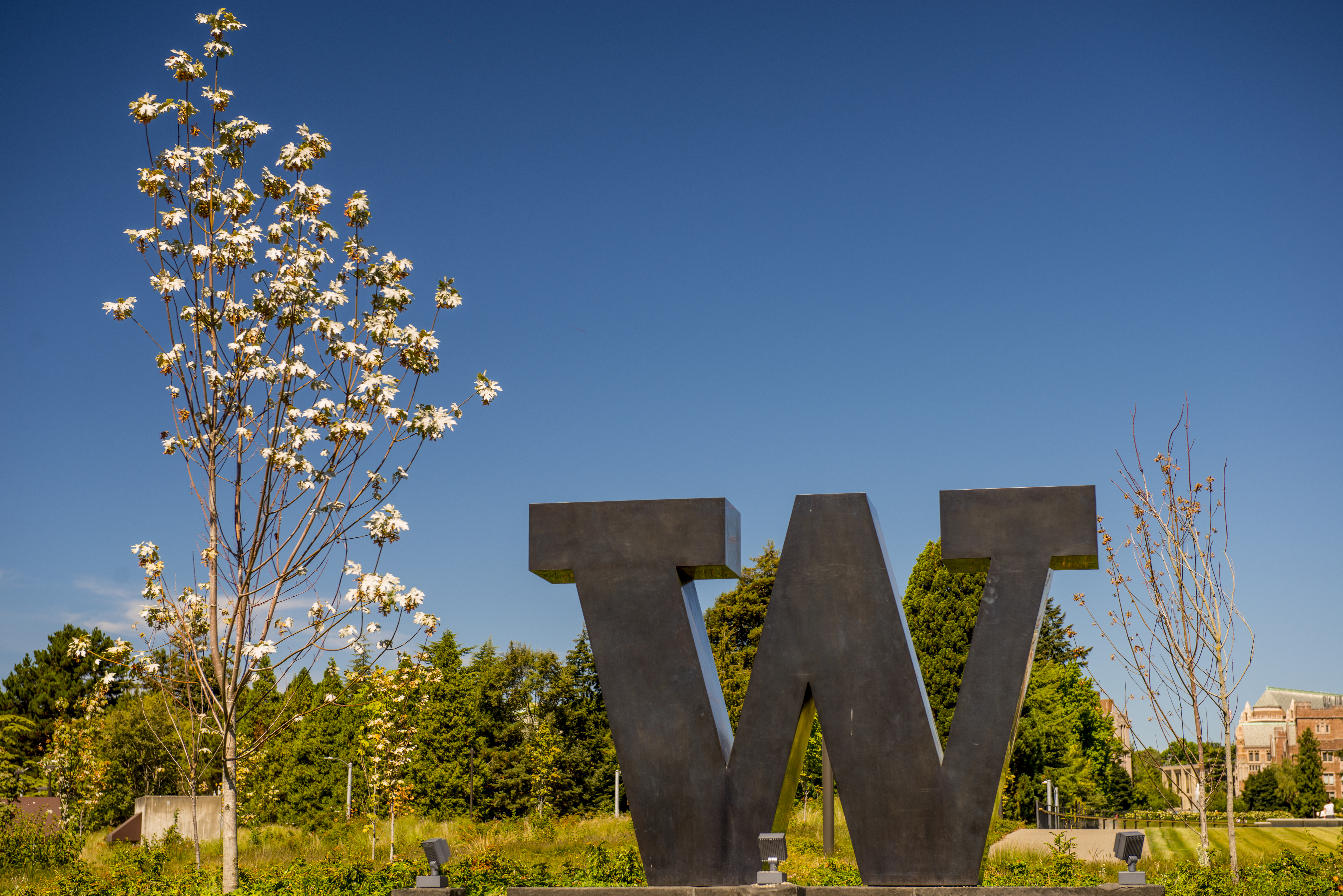 Faculty/staff honors: Innovation grant, best paper, outstanding research award