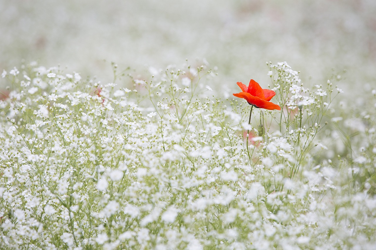 Whatâs in a name? Sometimes, the climate